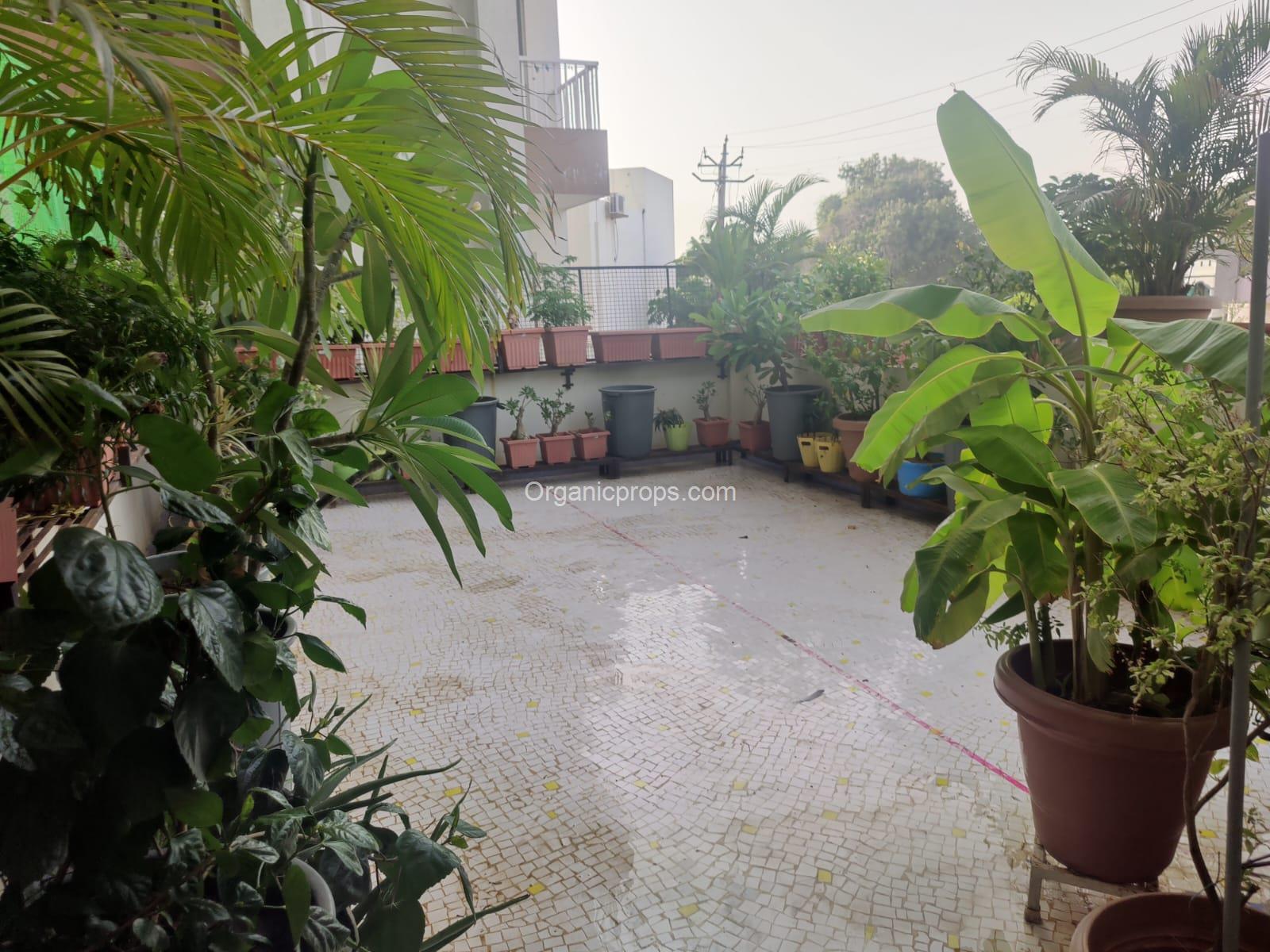 WhatsApp Image 2023-09-27 at 220230927150051701.jpeg